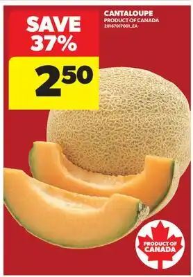 Real Canadian Superstore CANTALOUPE offer