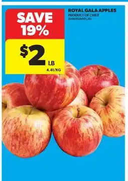 Real Canadian Superstore ROYAL GALA APPLES offer