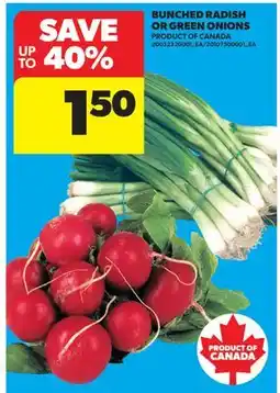 Real Canadian Superstore BUNCHED RADISH OR GREEN ONIONS offer