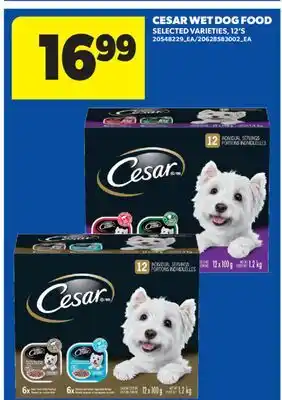 Real Canadian Superstore CESAR WET DOG FOOD, 12'S offer