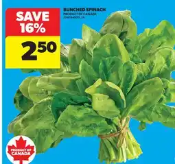 Real Canadian Superstore BUNCHED SPINACH offer