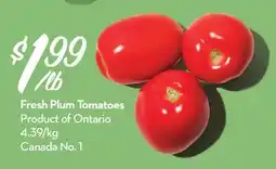 Longo's Fresh Plum Tomatoes offer
