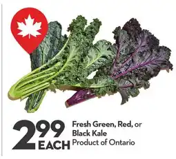 Longo's Fresh Green, Red, or Black Kale offer