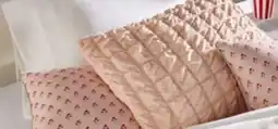 Walmart Mainstays 16 x 16 2-pack cushions offer