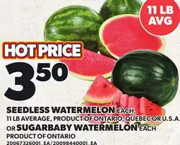 Loblaws SEEDLESS WATERMELON, 11 LB AVERAGE OR SUGARBABY WATERMELON offer