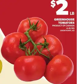 Loblaws GREENHOUSE TOMATOES offer