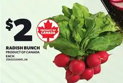 Loblaws RADISH BUNCH offer