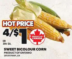 Loblaws SWEET BICOLOUR CORN offer