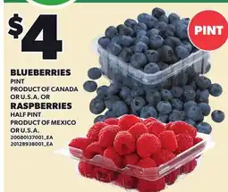 Loblaws BLUEBERRIES PINT OR RASPBERRIES HALF PINT offer