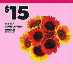 Loblaws FIESTA SUNFLOWER BUNCH offer