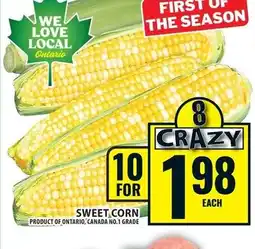 Food Basics Sweet corn offer