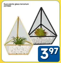 Rossy Succulents glass terrarium offer