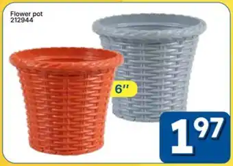 Rossy Flower pot offer