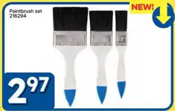 Rossy Paintbrush set offer