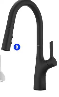 RONA Pfister Ceylon pull- down kitchen faucet offer