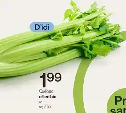 Avril Québec céleri bio offer