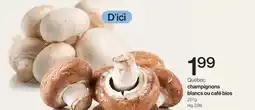Avril Québec champignons blancs ou café bios offer