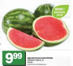 L'Intermarché MELON D'EAU SANS PÉPINS | SEEDLESS WATERMELON offer