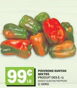 L'Intermarché POIVRONS SUNTAN MIXTES | MIXED SUNTAN PEPPERS offer