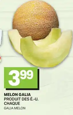 L'Intermarché MELON GALIA | GALIA MELON offer