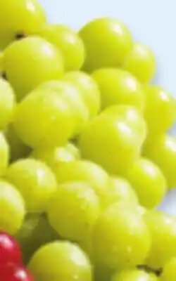 Walmart Green seedless grapes offer