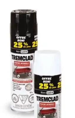 Canac Anti-Rust Paint offer