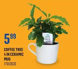Canac Coffee Tree 4in Ceramic Mug offer