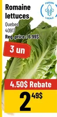 Mayrand Romaine Lettuces Cauliflower offer