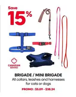 Mondou BRIGADE / MINI BRIGADE All collars, leashes and harnesses for cats or dogs offer