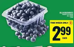 Food Basics Blueberries offer