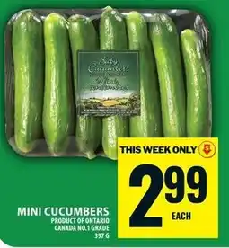 Food Basics Mini cucumbers offer