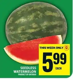 Food Basics Seedless watermelon offer