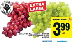 Food Basics Green or red seedless grapes offer