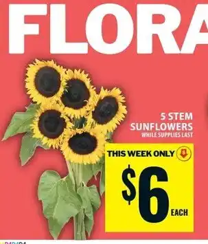 Food Basics 5 stem sunflowers offer