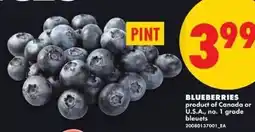 No Frills Blueberries offer