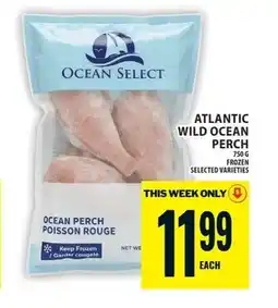 Food Basics Atlantic wild ocean perch offer