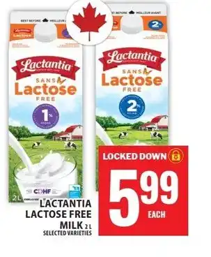 Food Basics Lactantia lactose free milk offer