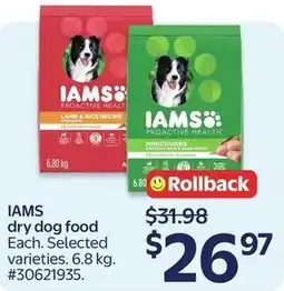 Walmart IAMS dry dog food offer