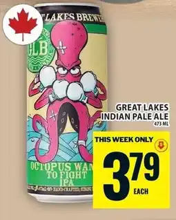 Food Basics Great lakes indian pale ale offer