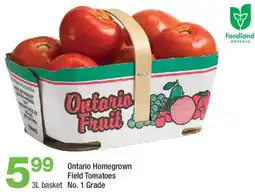 Highland Farms Ontario Homegrown Field Tomatoes offer