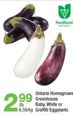 Highland Farms Ontario Homegrown Greenhouse Baby, White or Graffiti Eggplants offer
