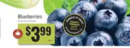 Produce Depot Blueberries offer