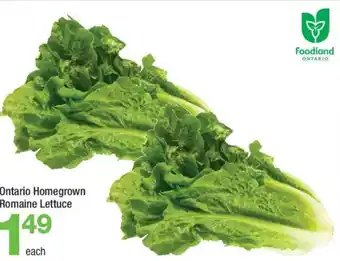 Highland Farms Ontario Homegrown Romaine Lettuce offer