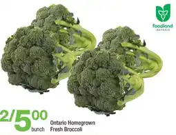 Highland Farms Ontario Homegrown Fresh Broccoli offer
