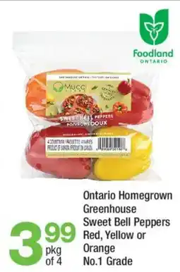 Highland Farms Ontario Homegrown Greenhouse Sweet Bell Peppers offer