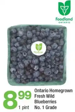 Highland Farms Ontario Homegrown Fresh Wild Blueberries offer