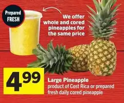 Foodland Large Pineapple offer