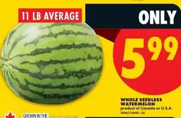 No Frills Whole seedless watermelon offer