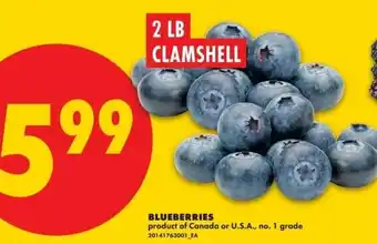 No Frills Blueberries offer
