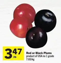 Foodland Red or Black Plums offer